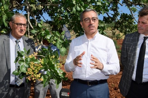 Başkan Güngör: Baklavanın fıstığı Pazarcık