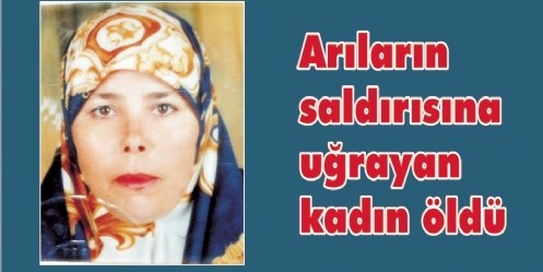 Arıların saldırısına uğrayan kadın öldü