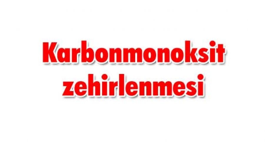 Karbonmonoksit zehirlenmesi 