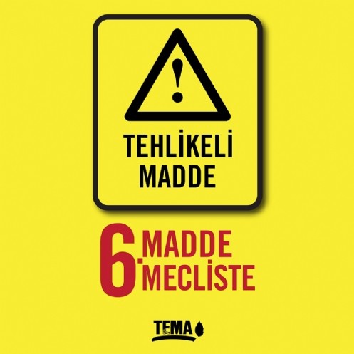 Madde 6